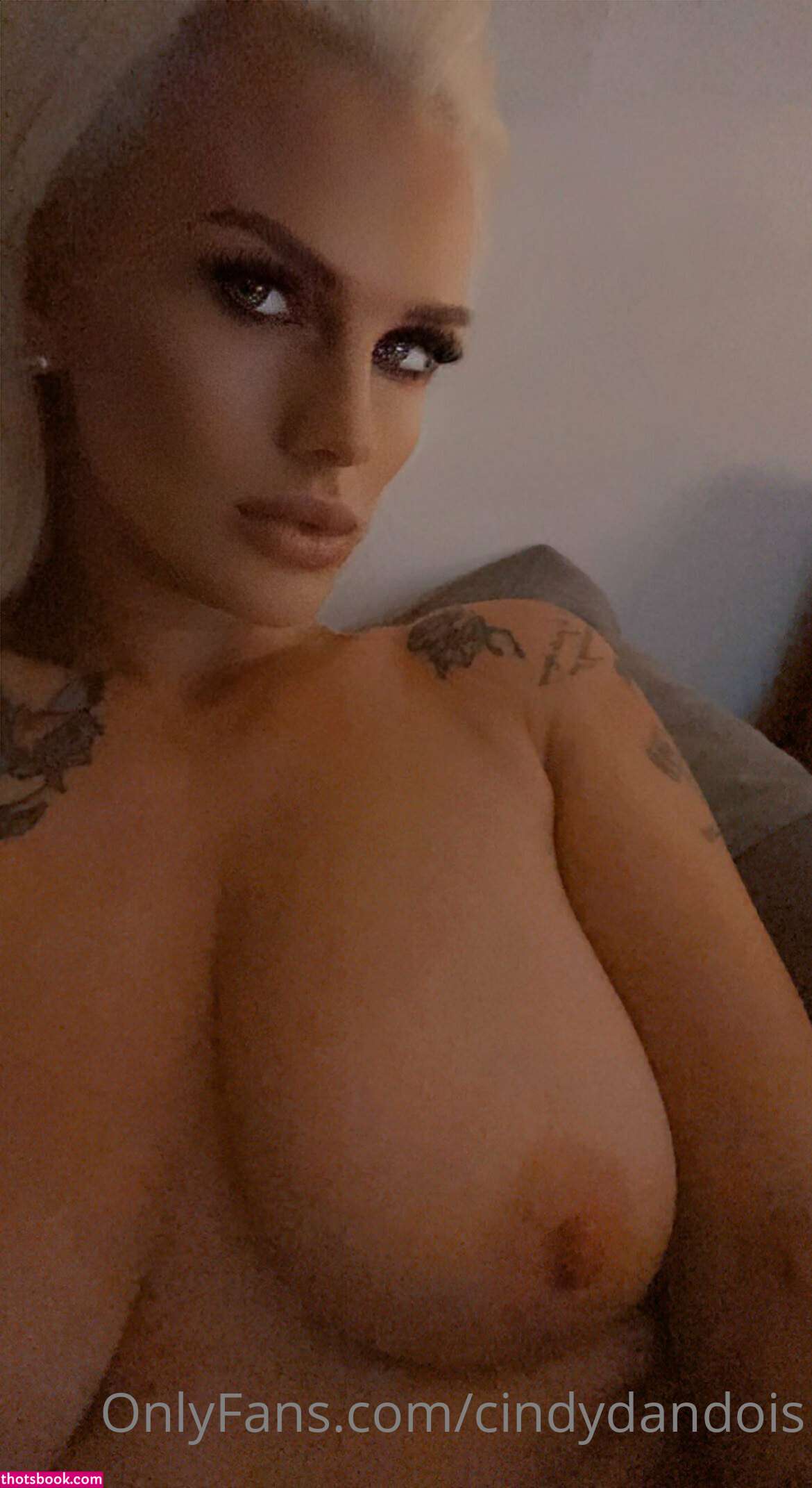 Cindy Dandois Photo #20