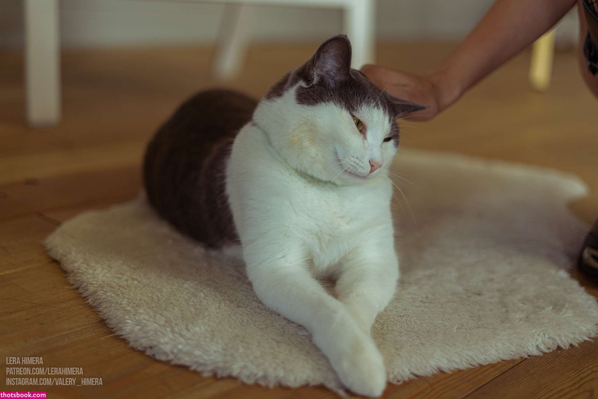 Lera Himera Photo #127