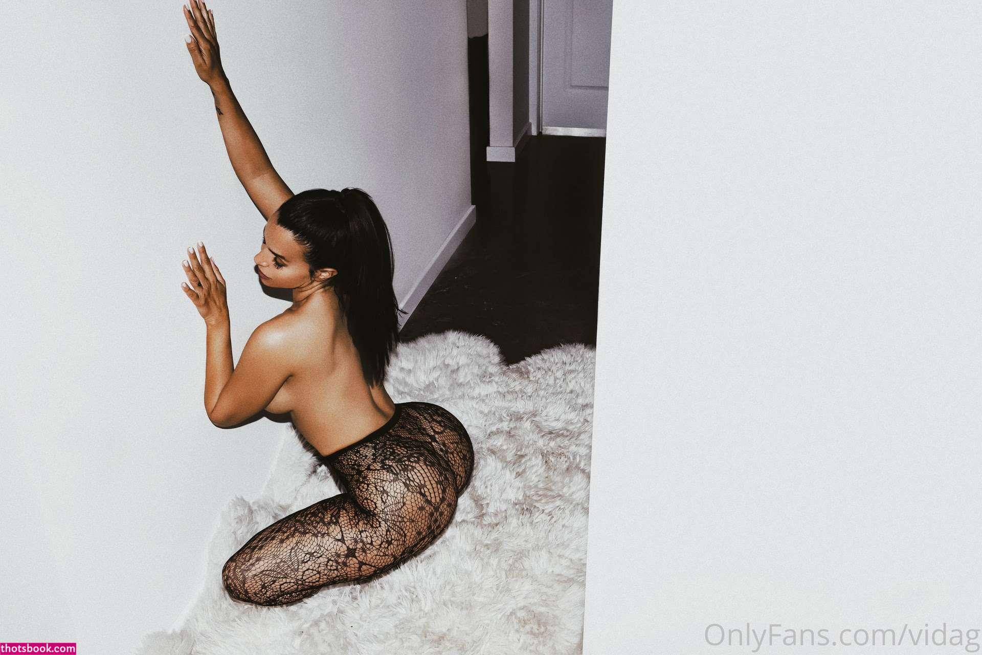 Vida Guerra Photo #41