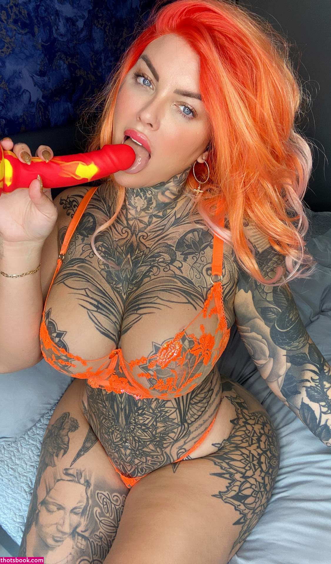 Donna Wildcard Photo #108