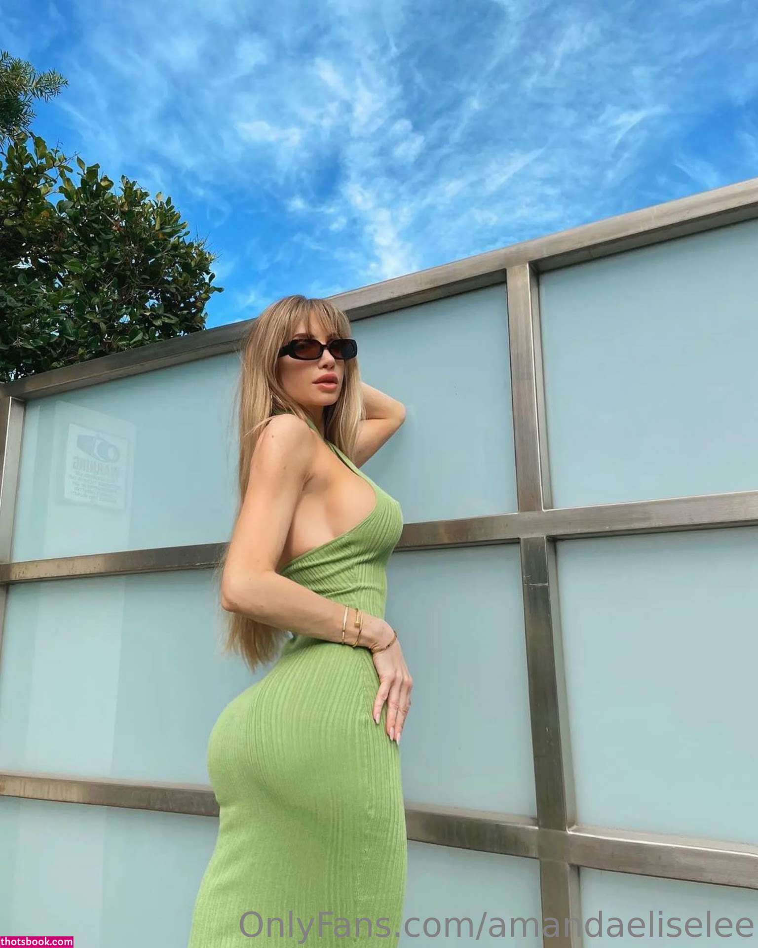 Amanda Elise Lee Photo #22