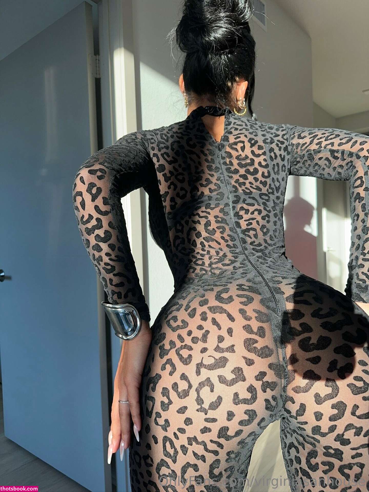 Virginia Sanhouse Photo #2