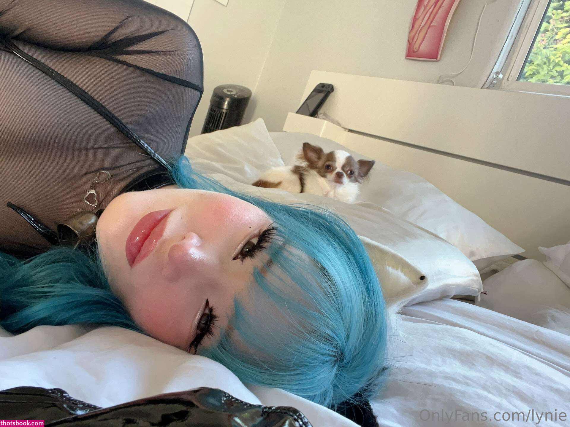 lynienicole Photo #418