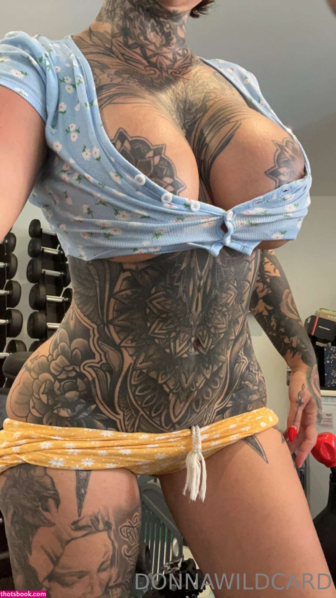 Donna Wildcard Photo #479