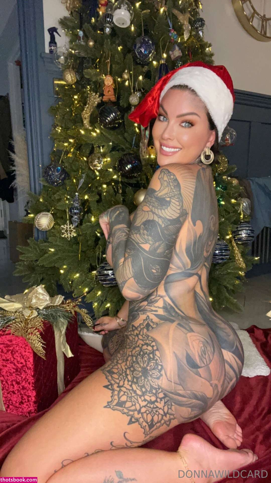 Donna Wildcard Photo #544