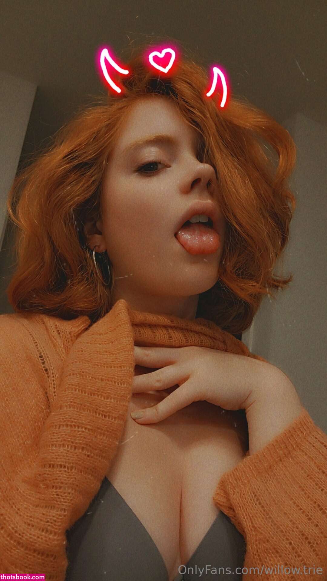 Willow Trie Photo #83