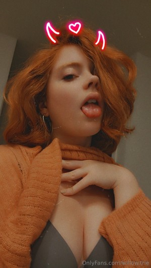 Willow Trie Post #20