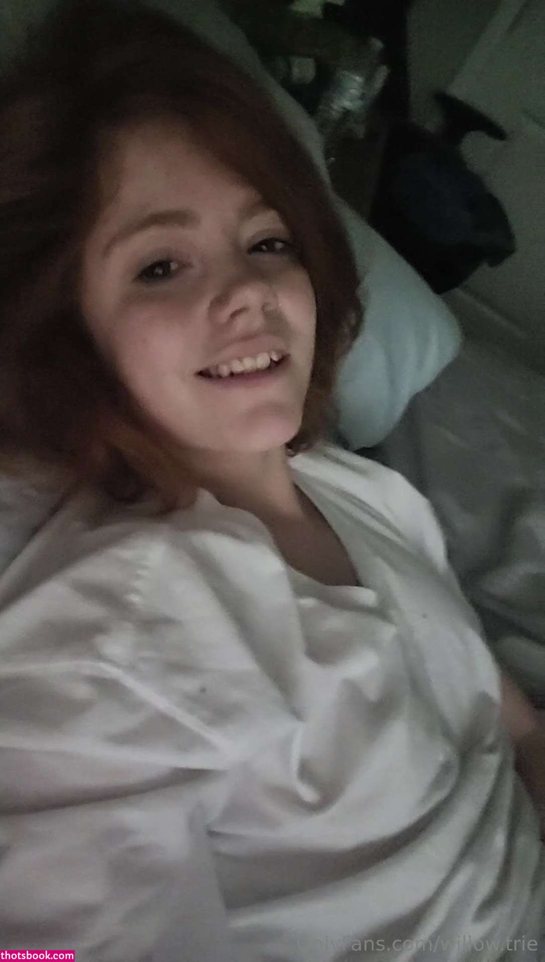 Willow Trie Photo #87