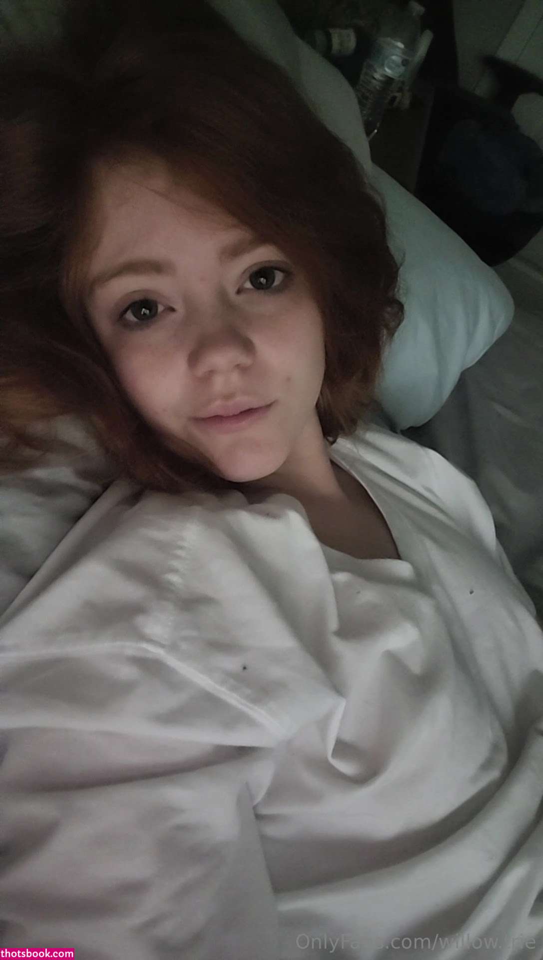 Willow Trie Photo #92