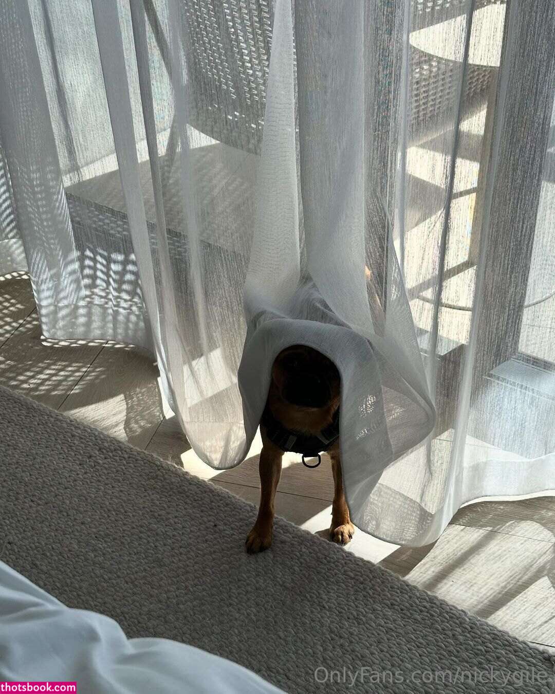 Nicky Gile Photo #246