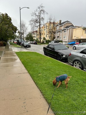Nicky Gile Photo #250