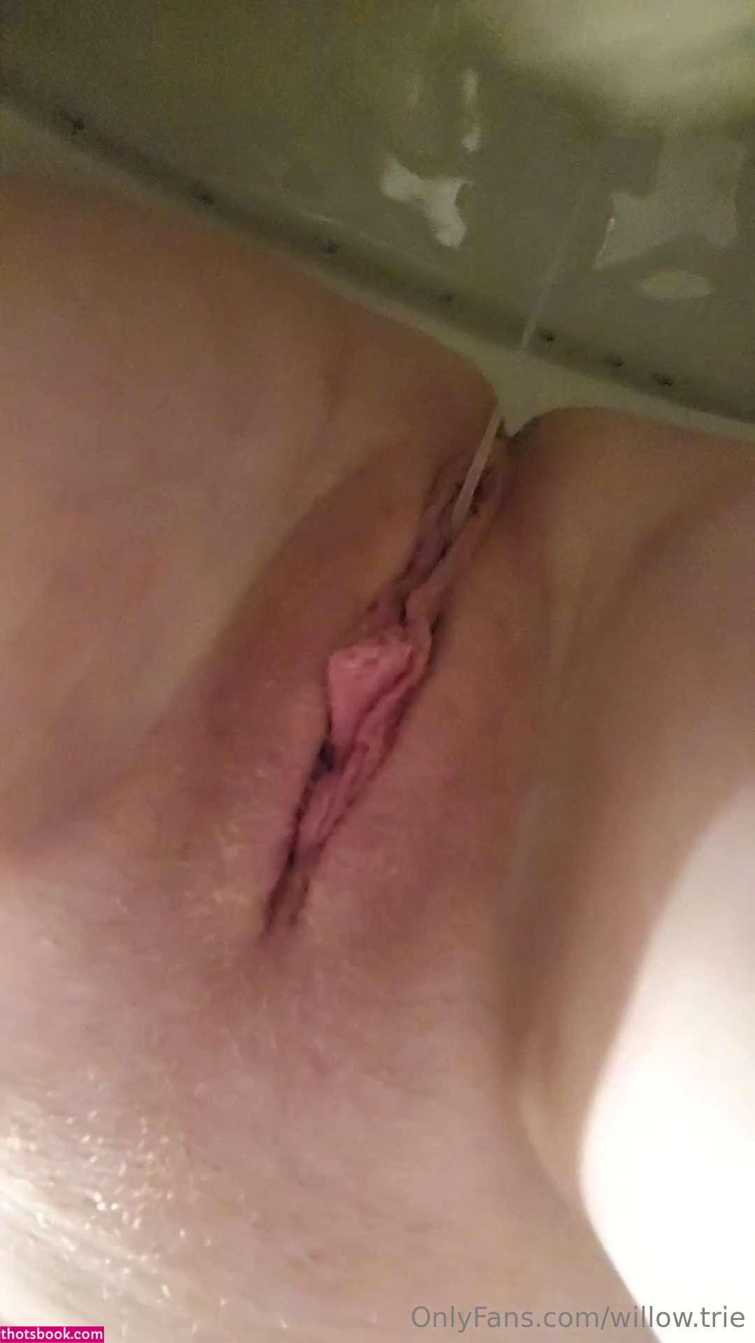 Willow Trie Photo #110