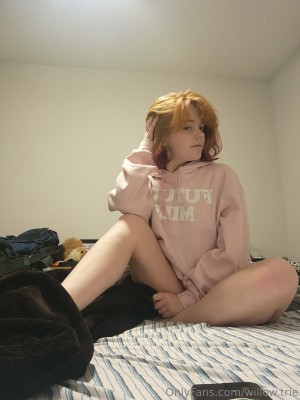 Willow Trie Photo #130