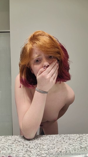 Willow Trie Photo #131