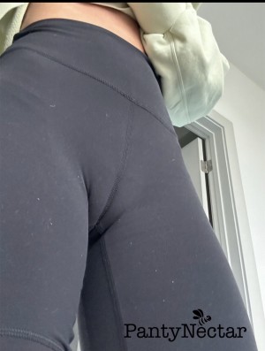 Pantynectar Photo #39