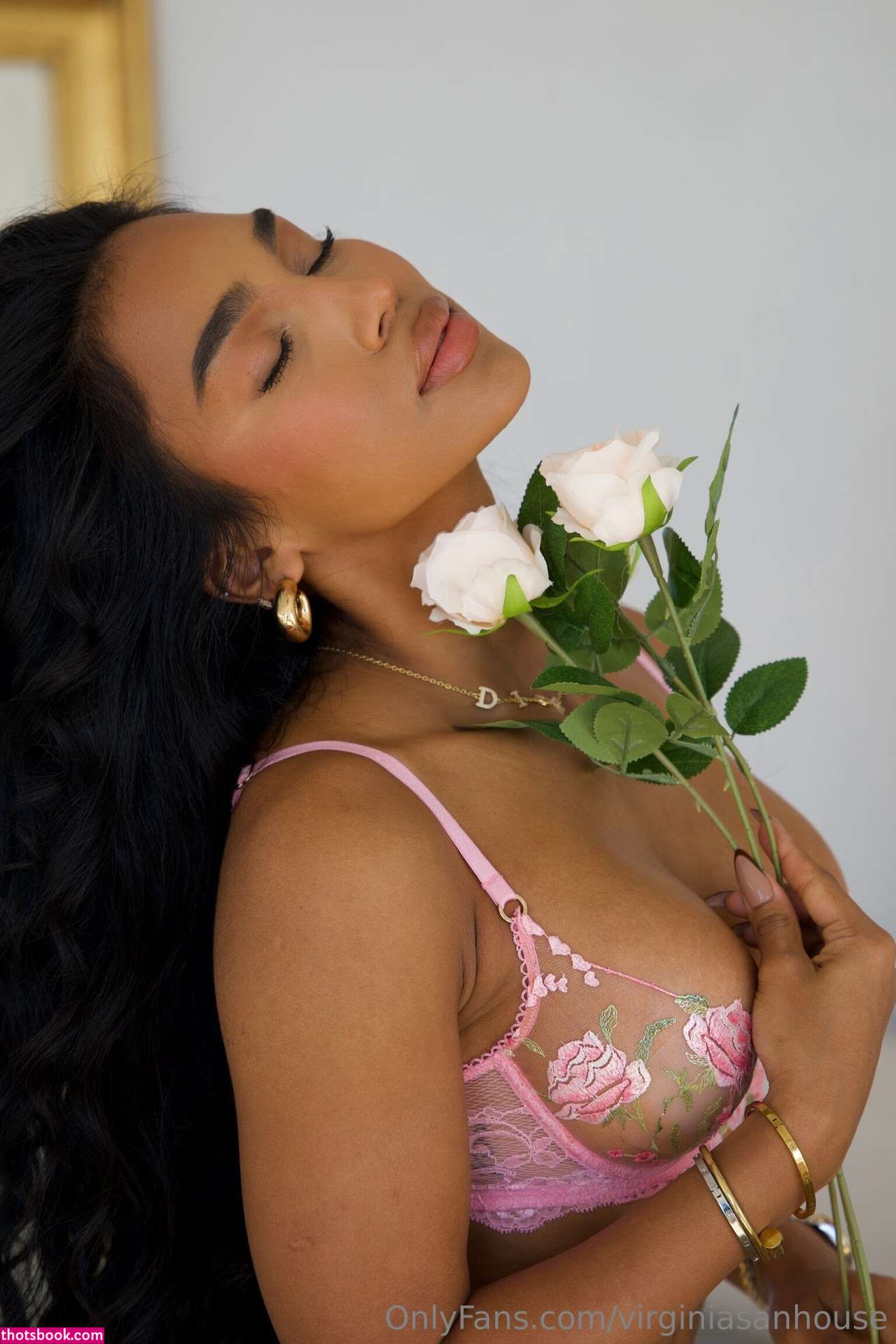 Virginia Sanhouse Photo #138