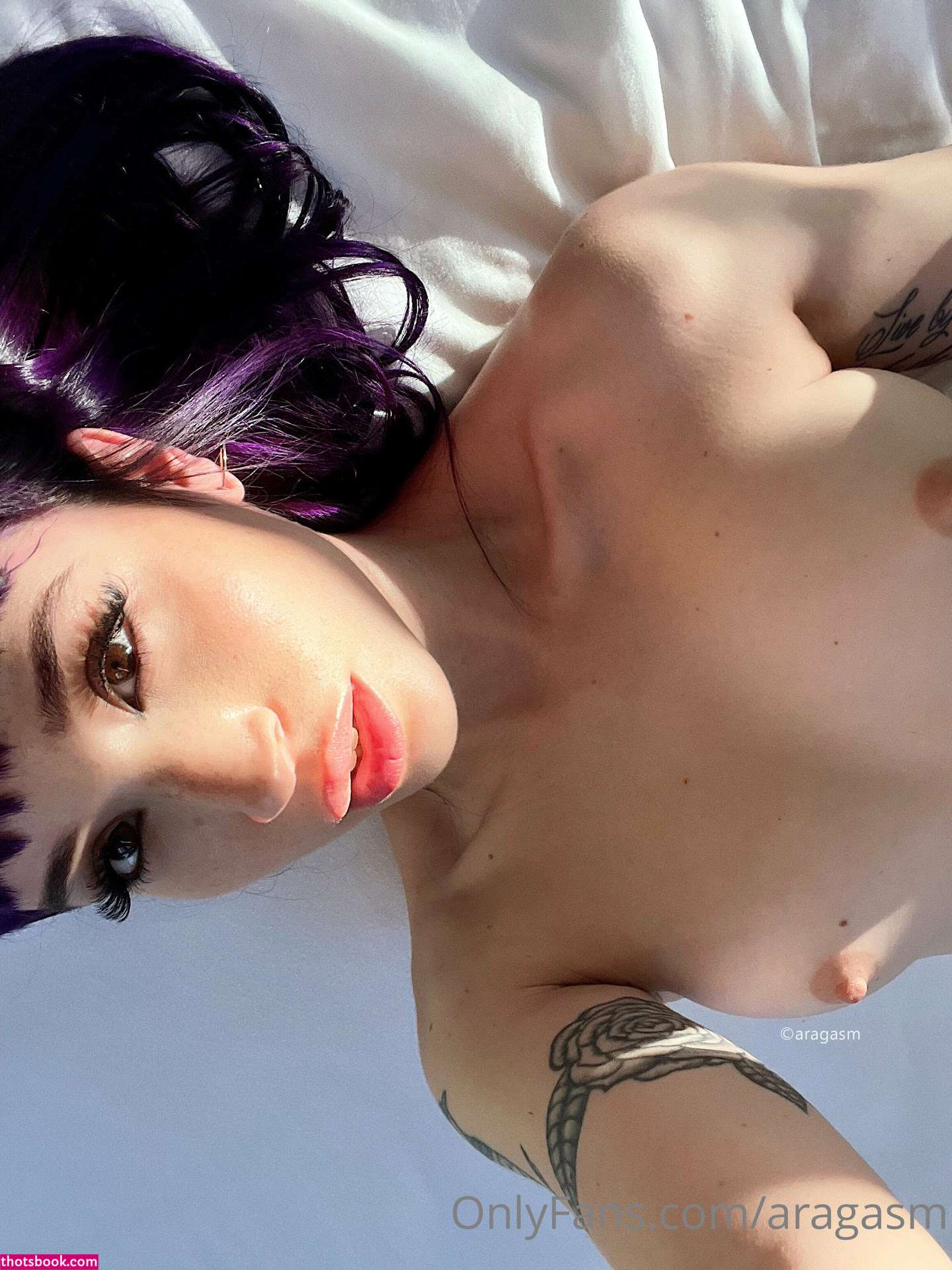 Aragasmme Photo #119