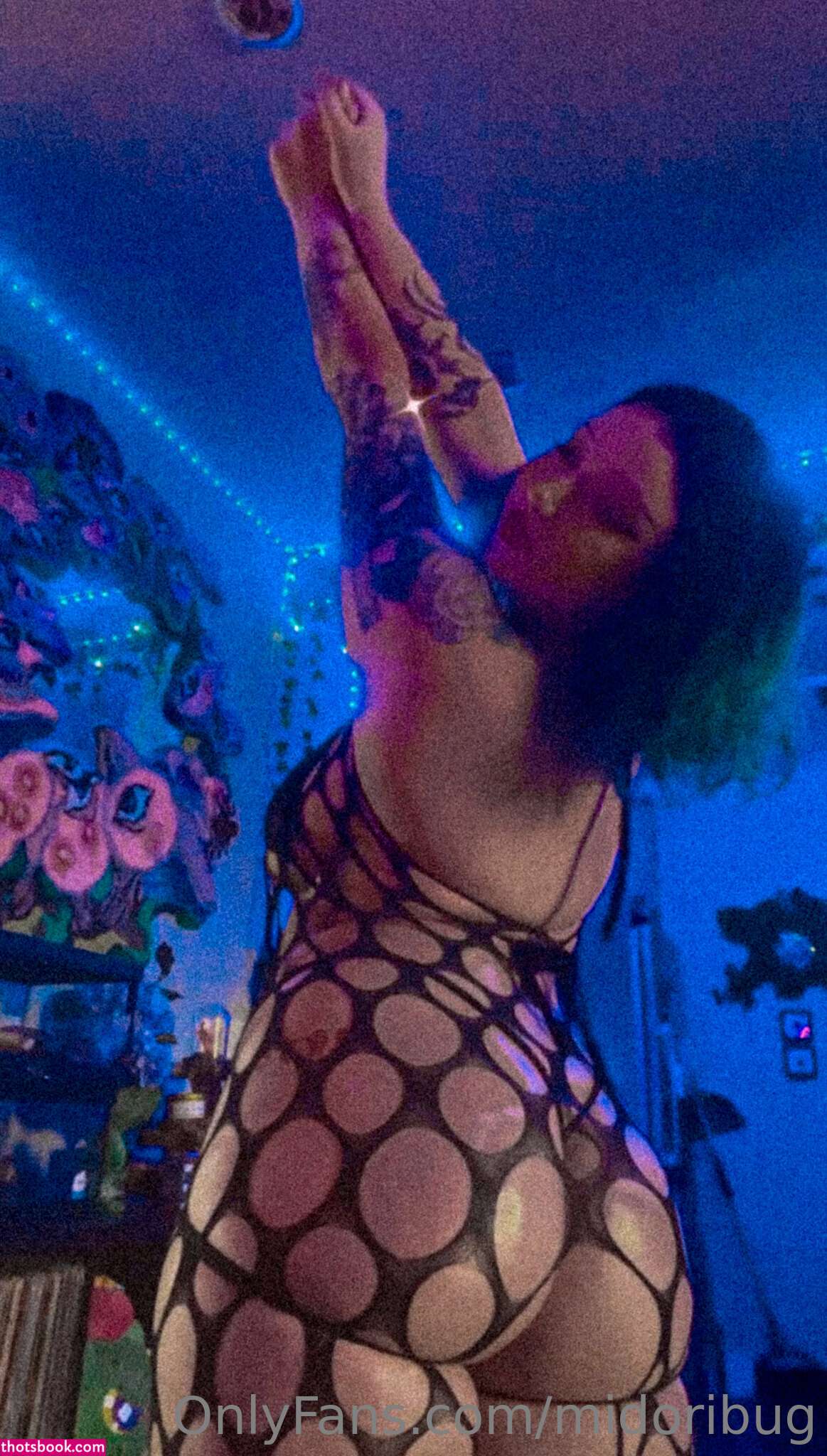 Midoribug Photo #110