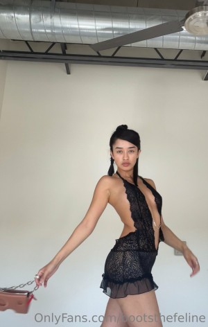 Bootsthefeline Post #24