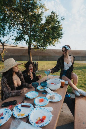 Court Ferris Photo #23