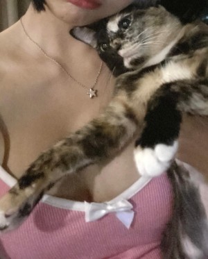 Phanomwan Chaiwayat Photo #14