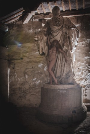 Symposiarcha Photo #41