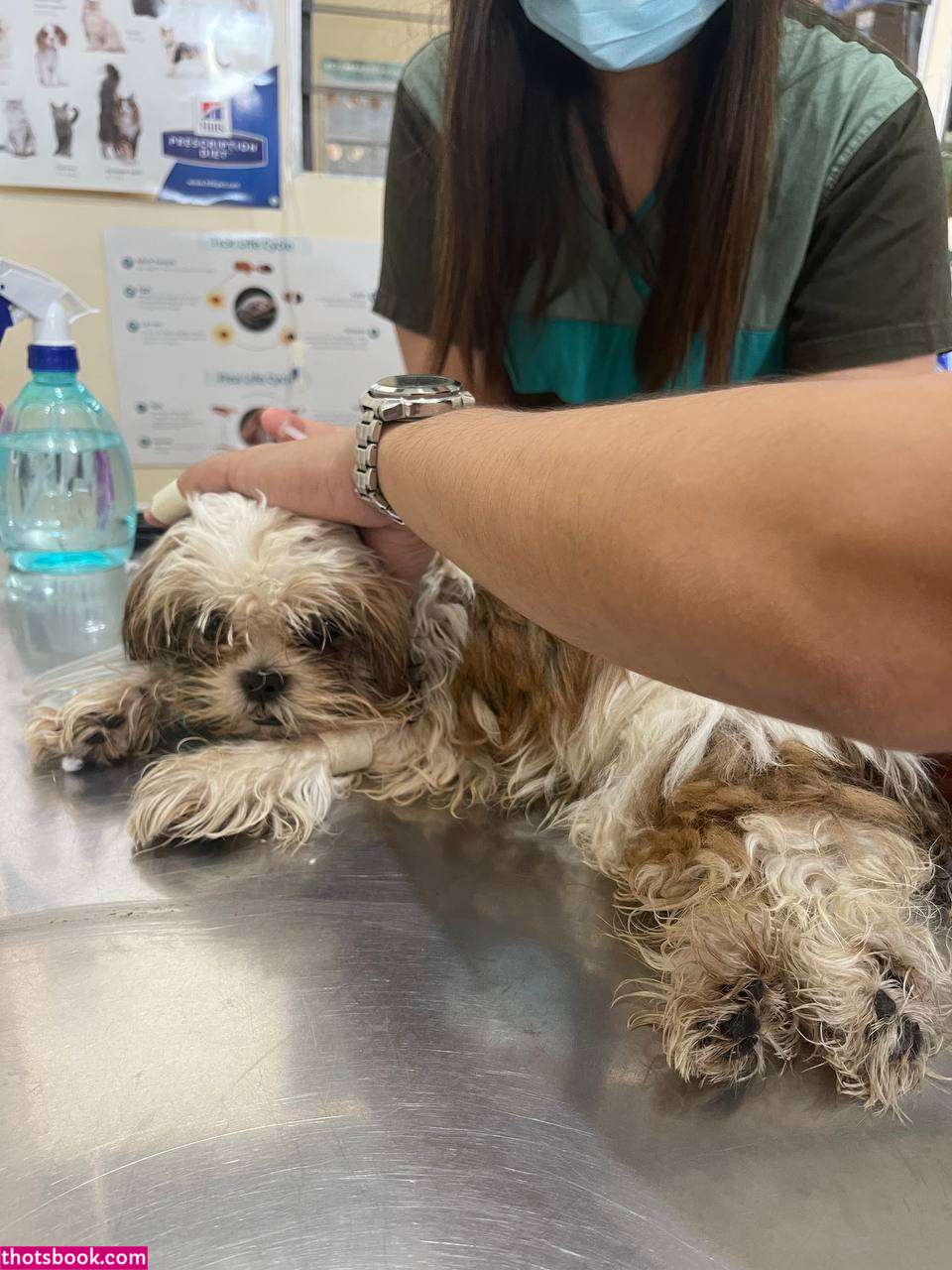 Charmaine Manicio Photo #22