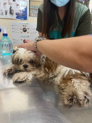 Charmaine Manicio Photo #22