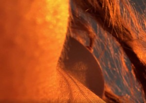 Stefania Deriabina Photo #9