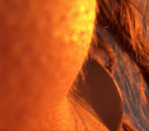 Stefania Deriabina Photo #11