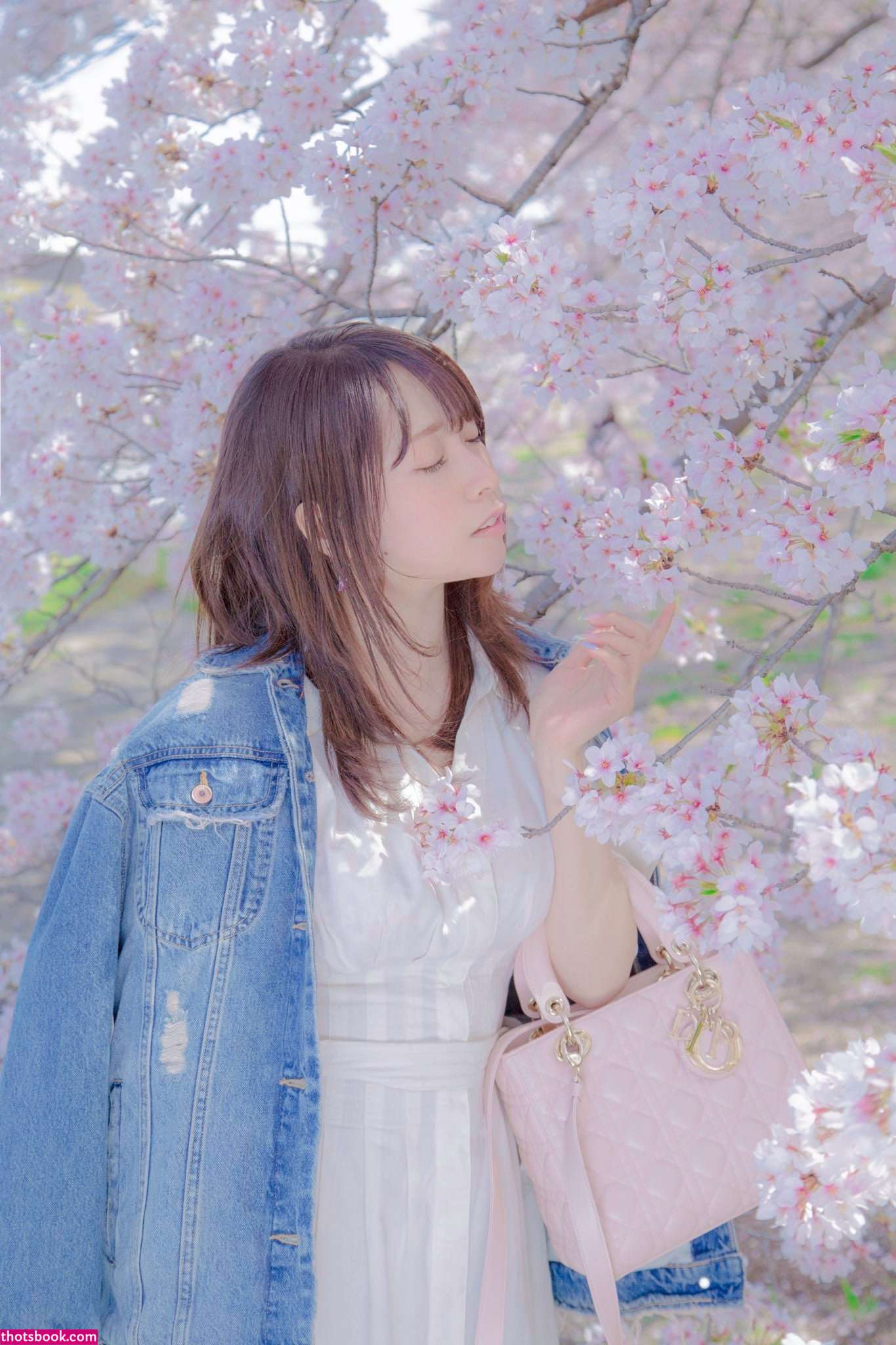 Shiinakira Photo #27