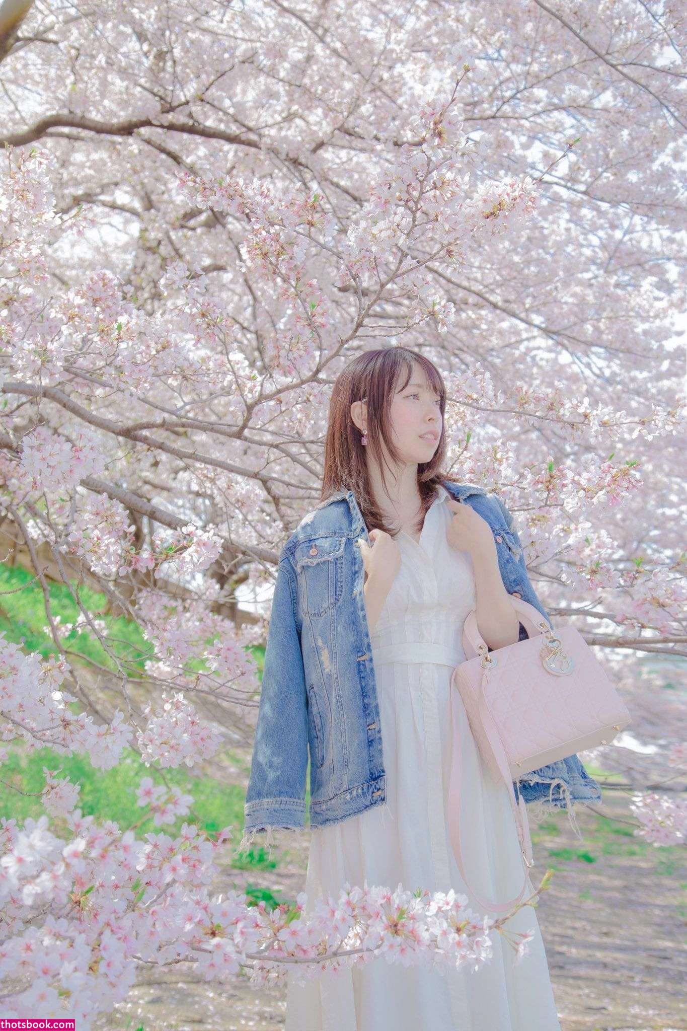 Shiinakira Photo #28