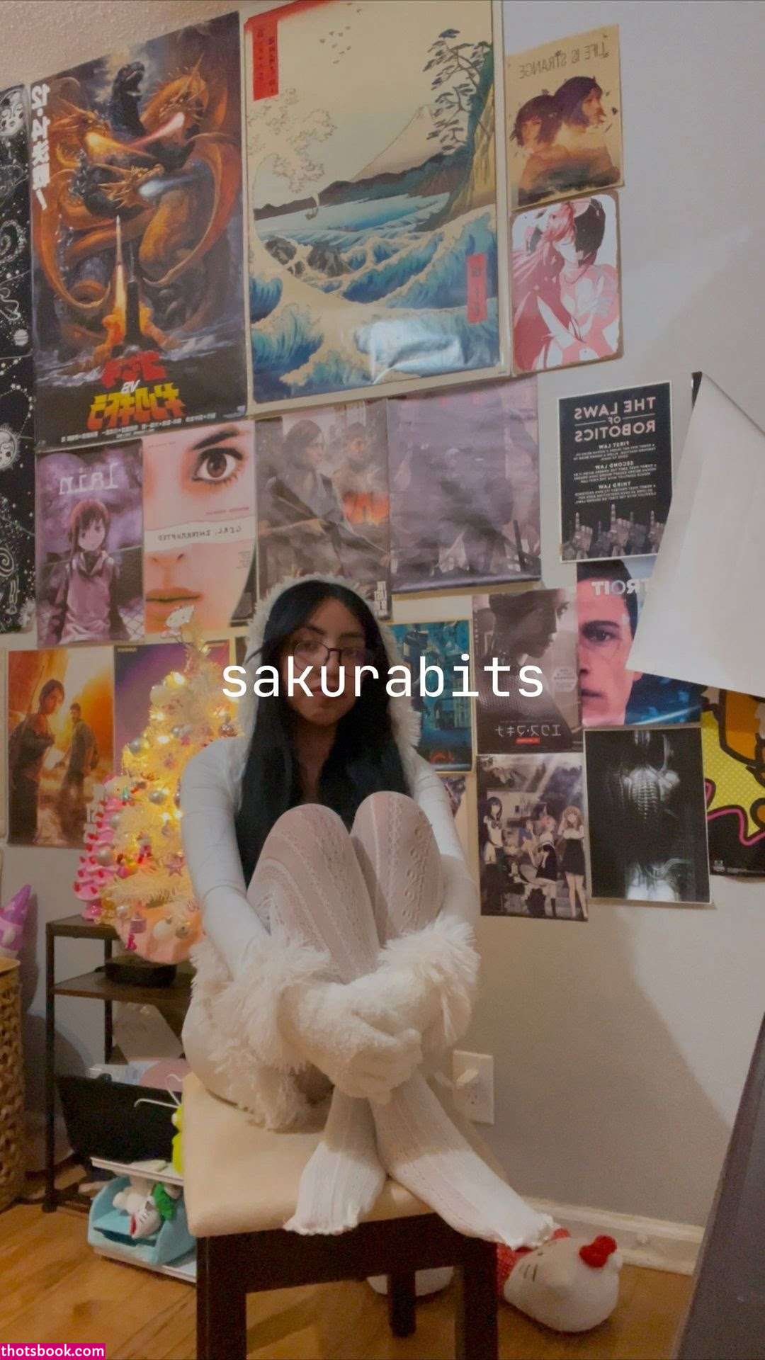 Sakurabits Photo #16