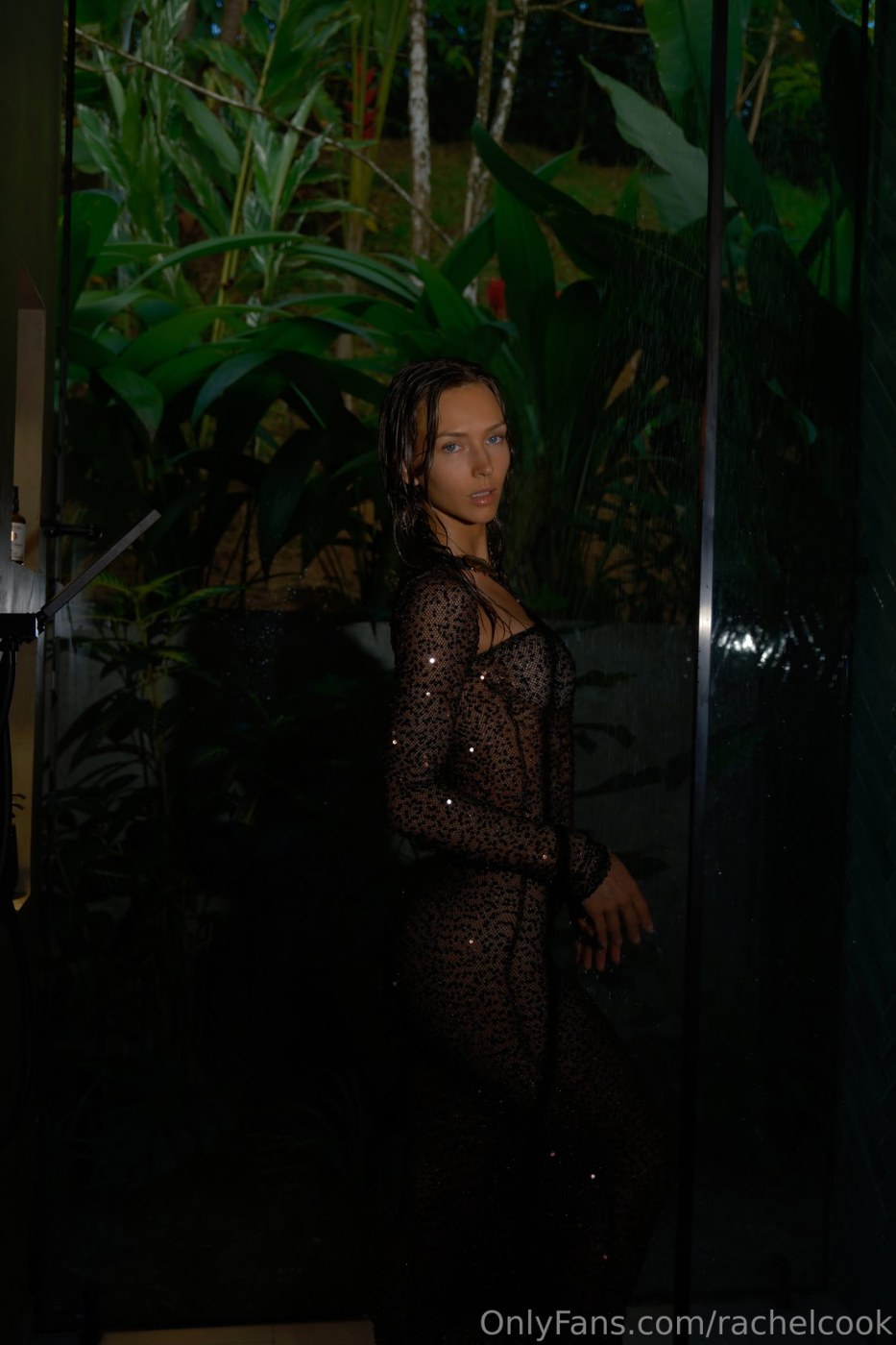 Rachel Cook Photo #1992