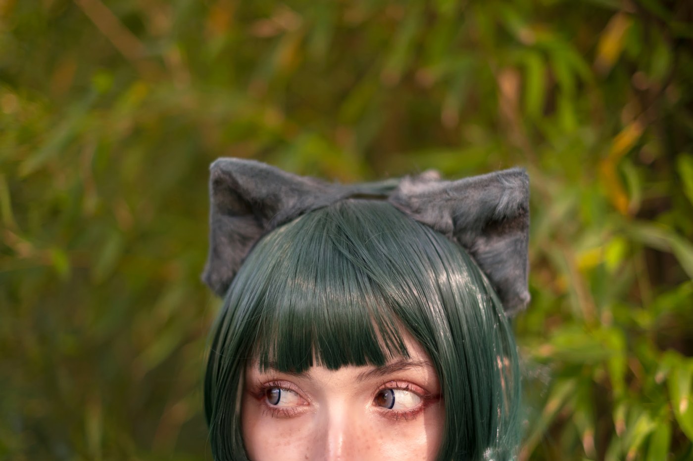 Himee lily Photo #50