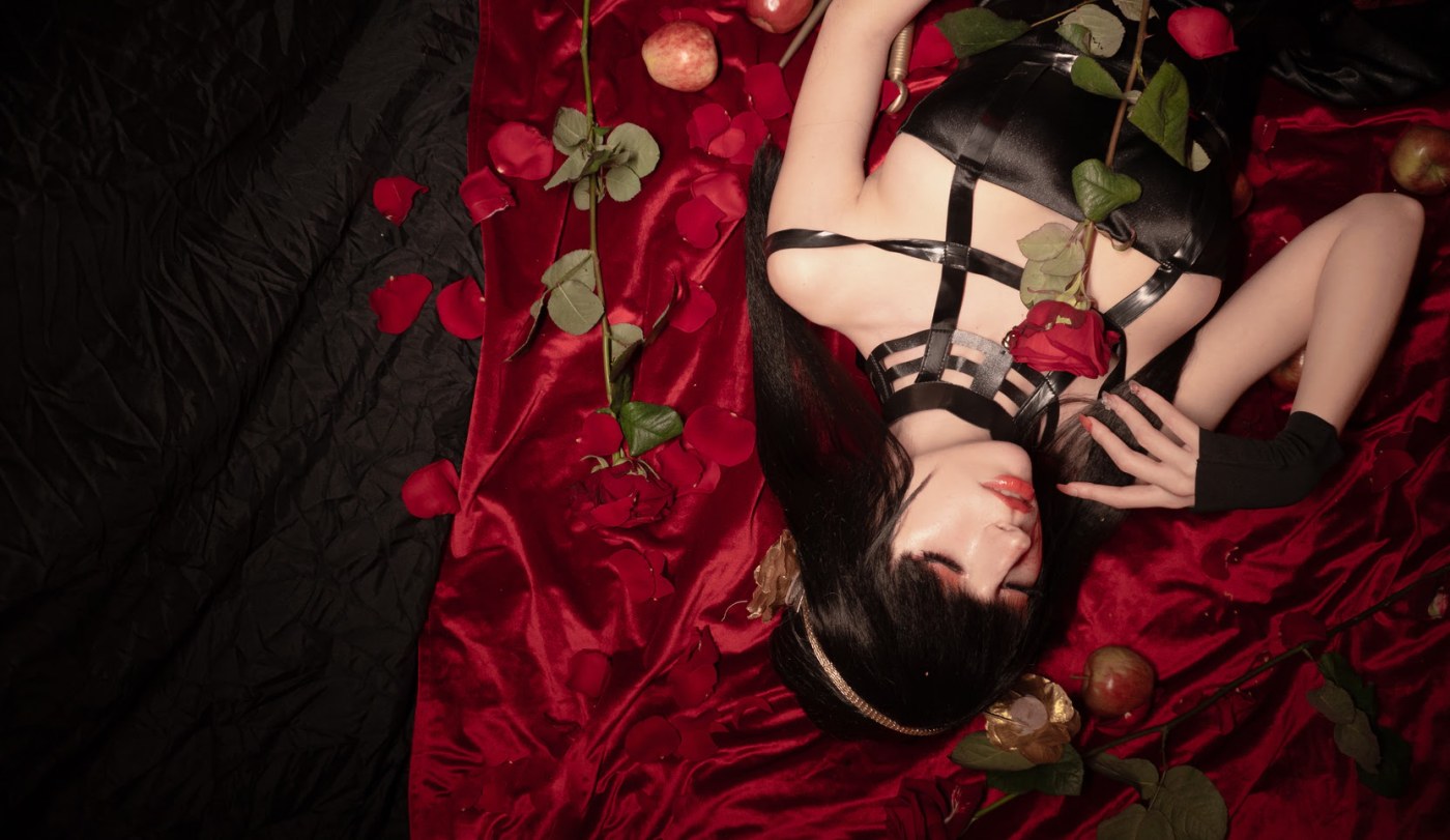 Himee lily Photo #56