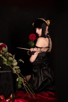 Himee lily Photo #60