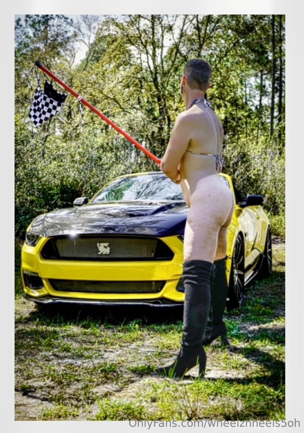 Shelby Driver Photo #18