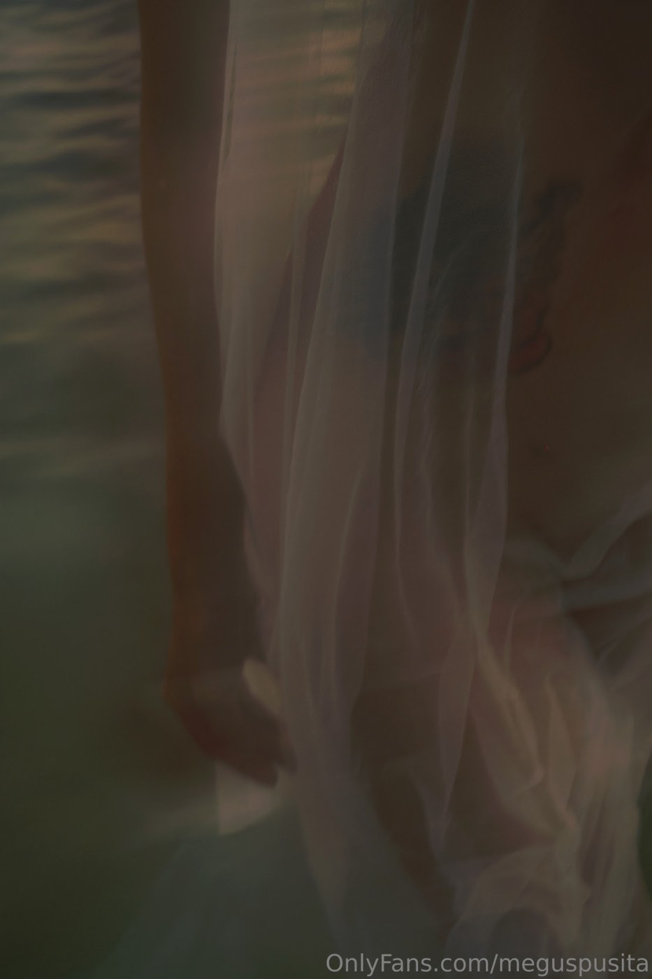 Meguspusita Photo #13