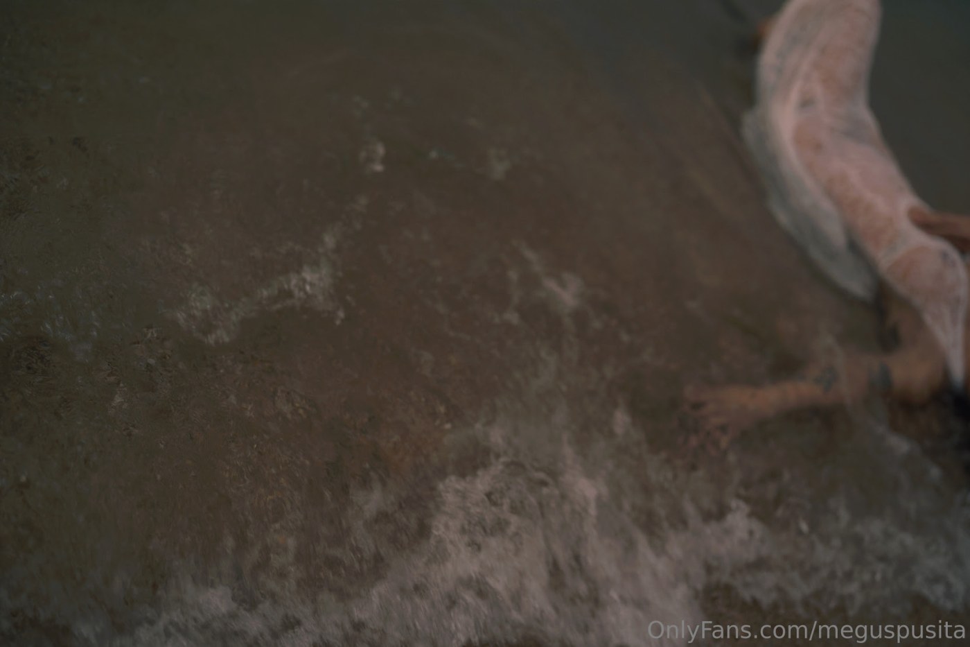 Meguspusita Photo #12