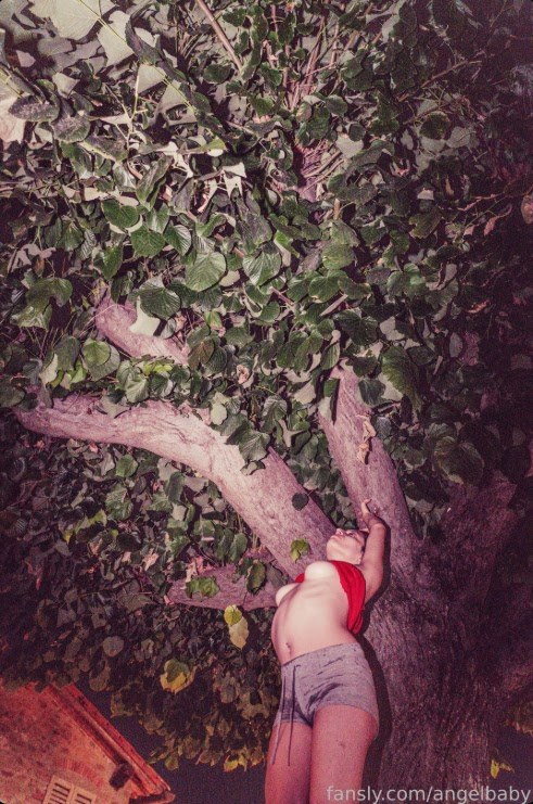 Sondaspaziale Photo #60