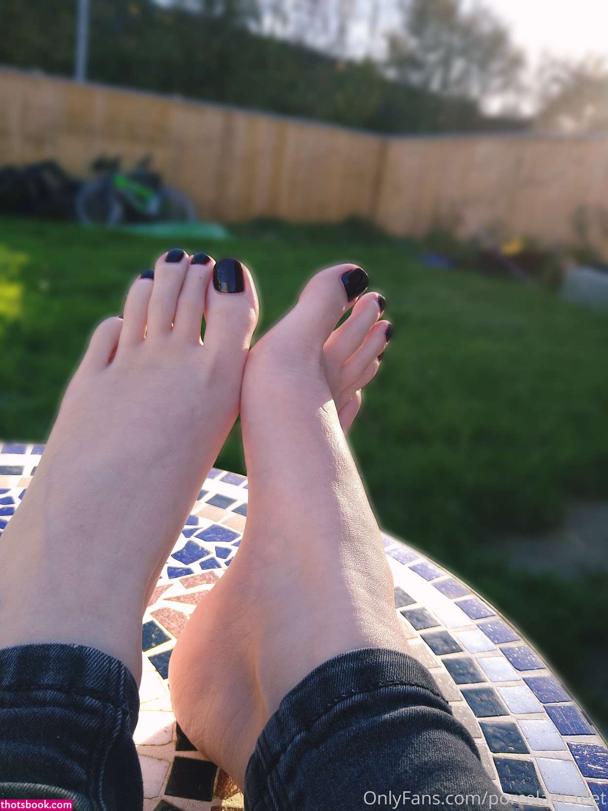 Creator Photo #1942029