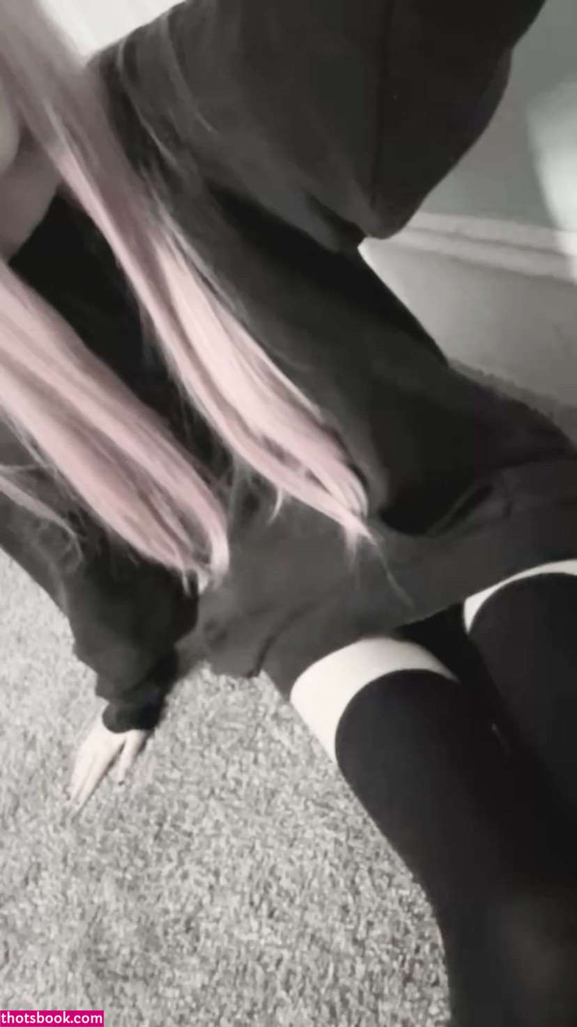 Creator Photo #1942104