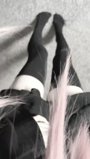 Creator Photo #1942105