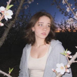 Creator Photo #1942596