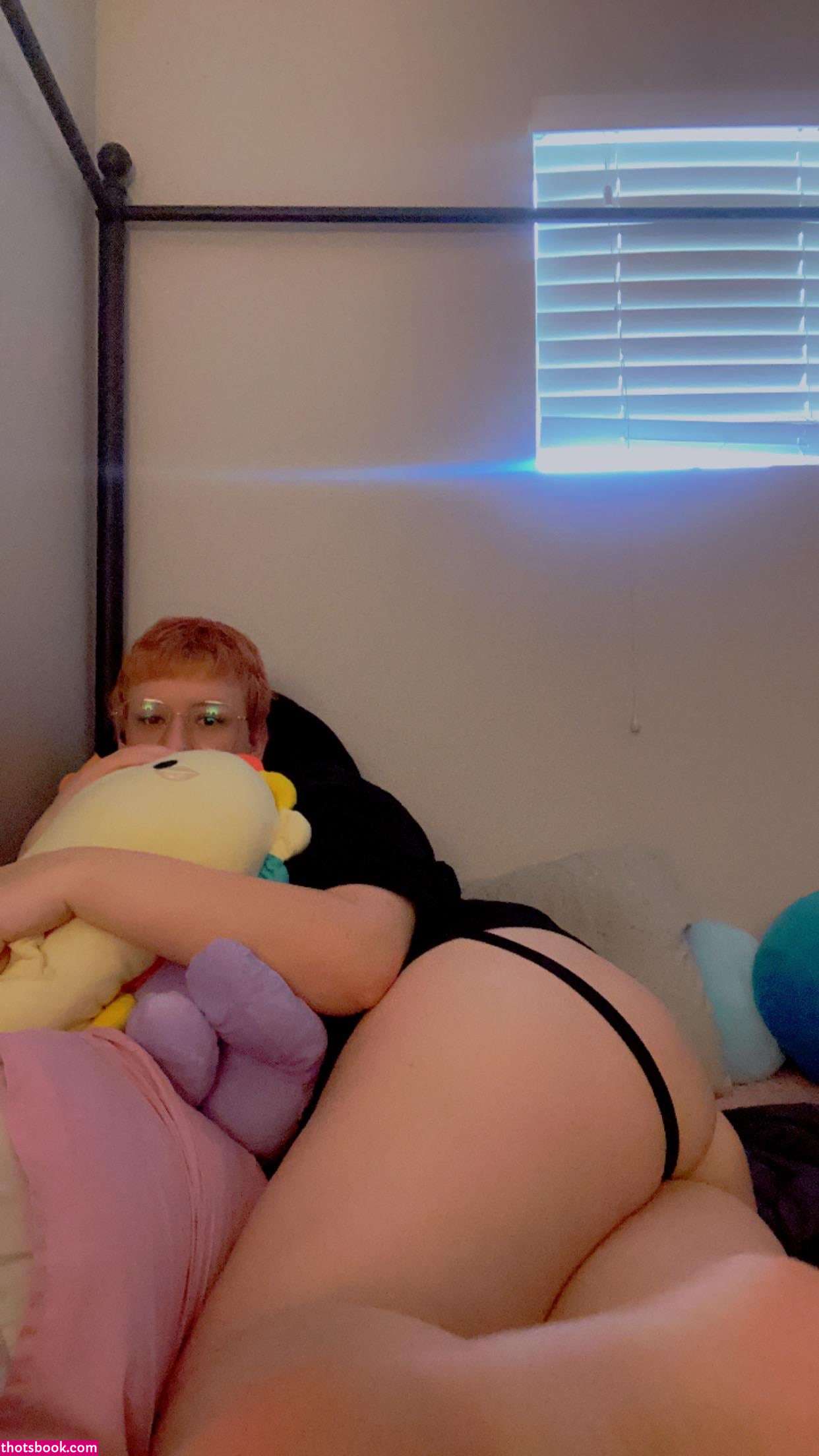 Creator Photo #1942991