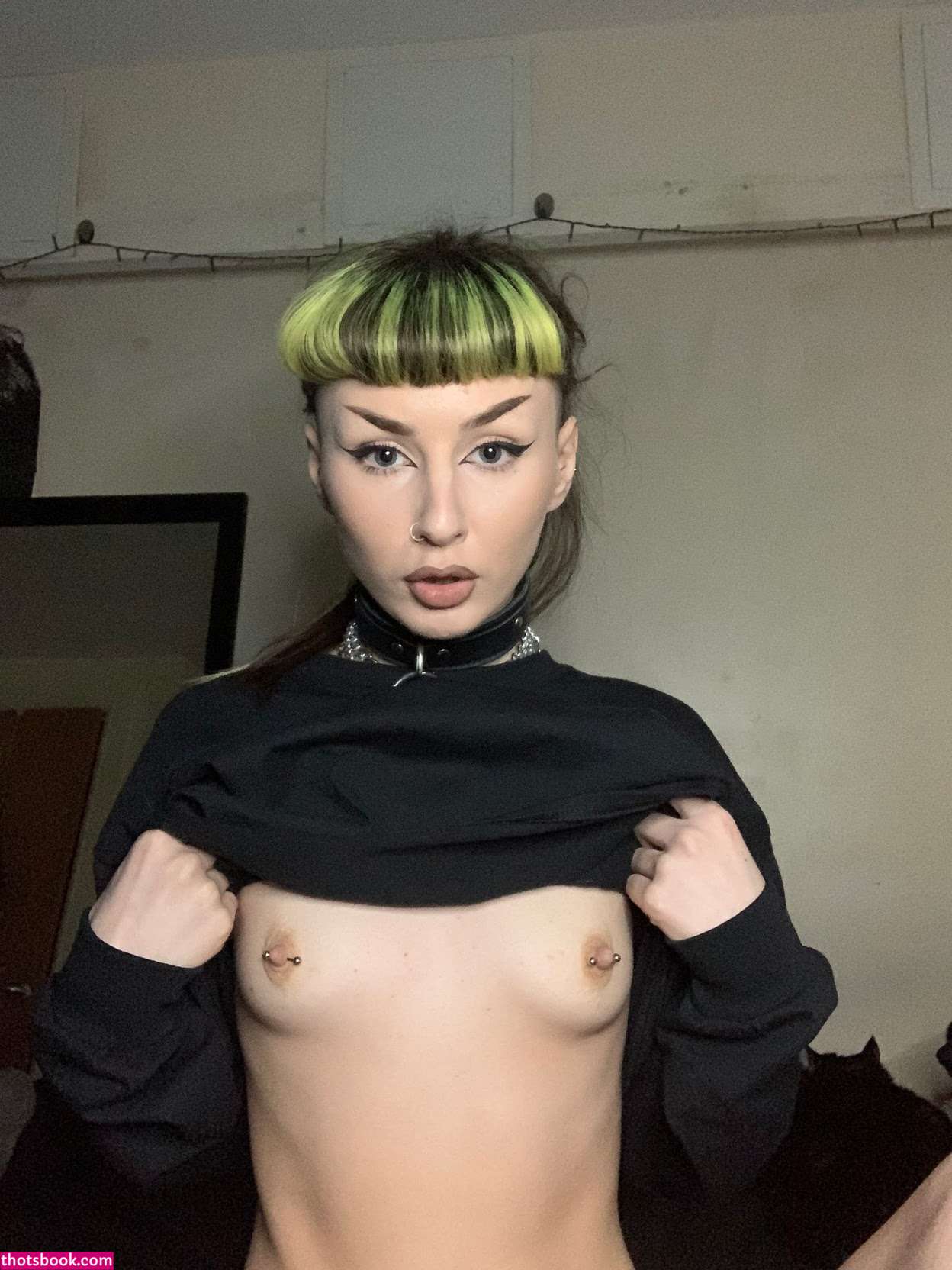 Creator Photo #1943151