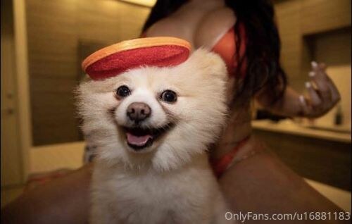 Violetgotcake Photo #16