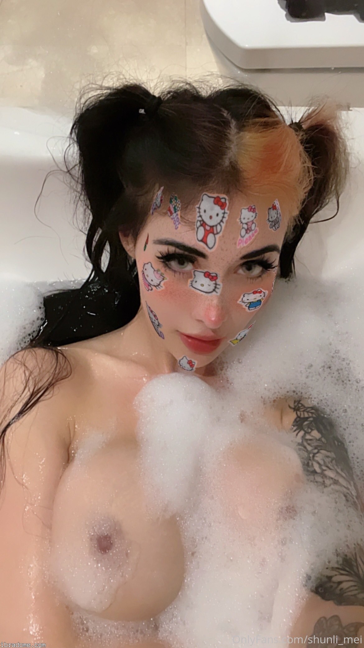 Shunli Mei Photo #86