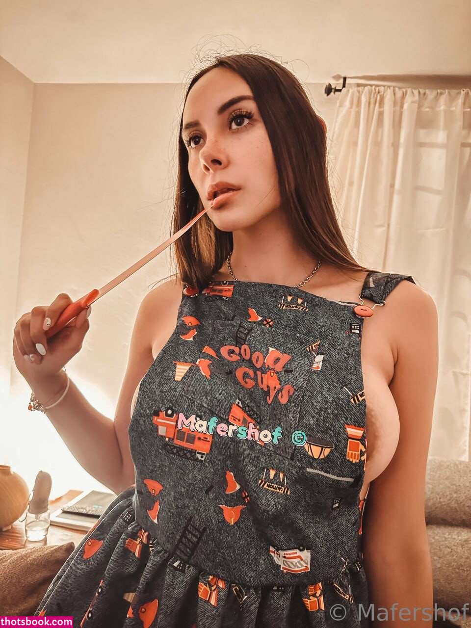 Mafershof Photo #123